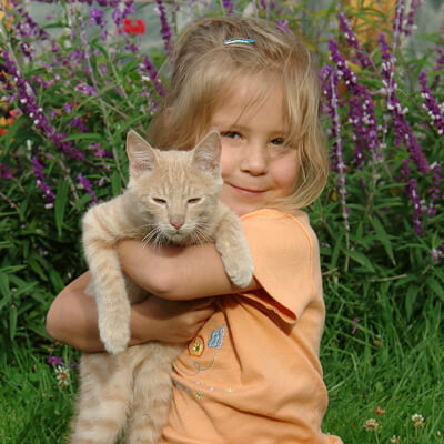 Child Holding Cat