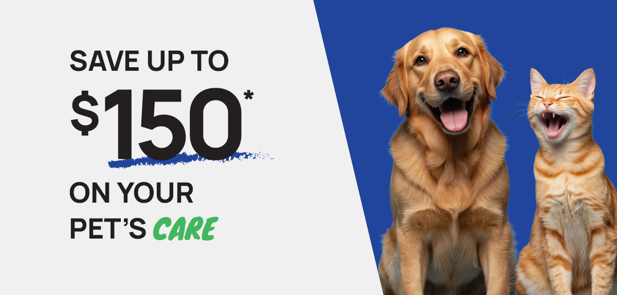 Dental Promotion - Save up to $150 on your pet's care