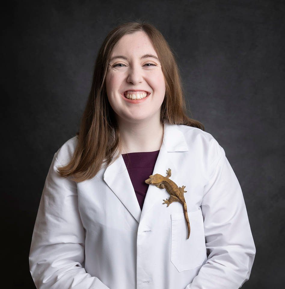 Dr. Sullivan