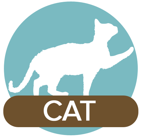 Cat Library Icon