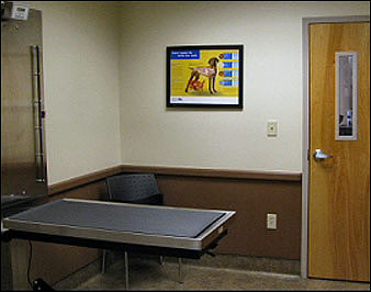 Canine Examination room with adjustable scales