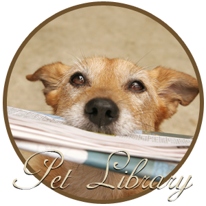 Pet Library Banner